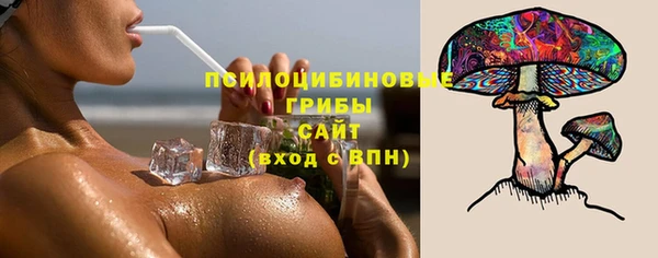 молекула духа Бронницы