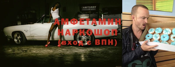 гидра Богданович