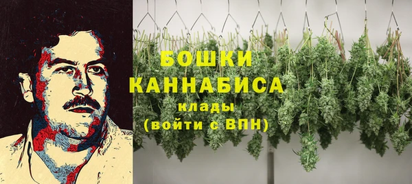 гидра Богданович