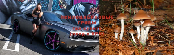 кокаин Богородицк