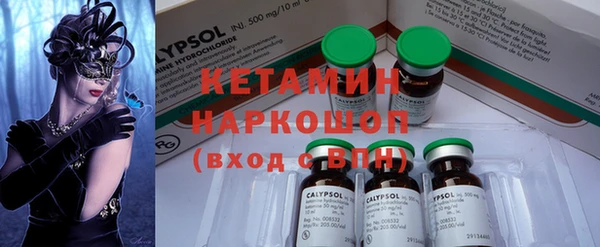 гидра Богданович