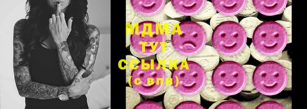гидра Богданович