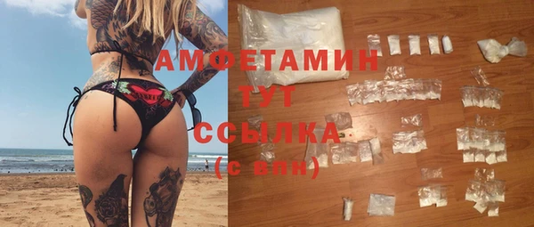 молекула духа Бронницы